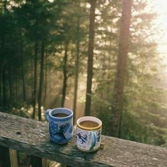 Meet your Posher, Jenelle - Picture 1 of 1